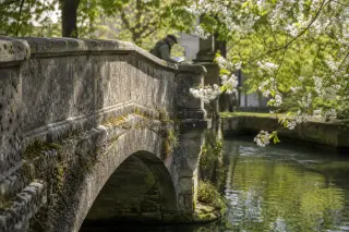 Moss-covered stone bridge over a calm river, faint silhouette of a person sketching, surrounded by soft spring light and blossoming trees.